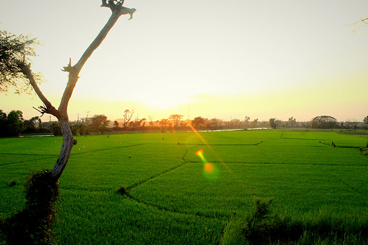 soumyadip das landscape photography